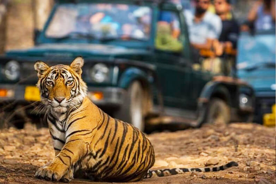 Jim Corbett (Uttarakhand)